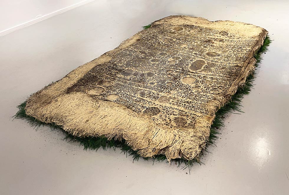 Diana Scherer Interwoven 2023